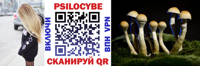 Псилоцибиновые грибы GOLDEN TEACHER  Собинка 